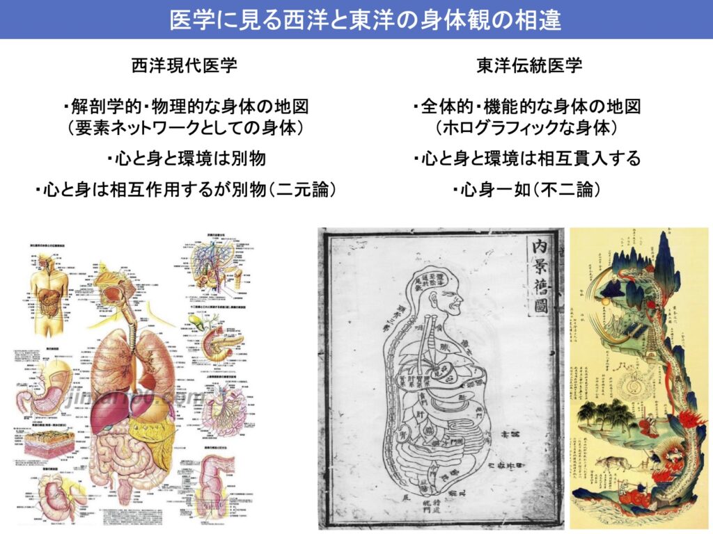 医学に見る西洋と東洋の身体観の相違